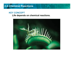 2.4 Chemical Reactions