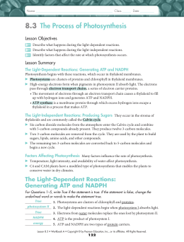 8.3 The Process of Photosynthesis