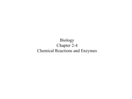Biology Chapter 2-4 Chemical Reactions and Enzymes