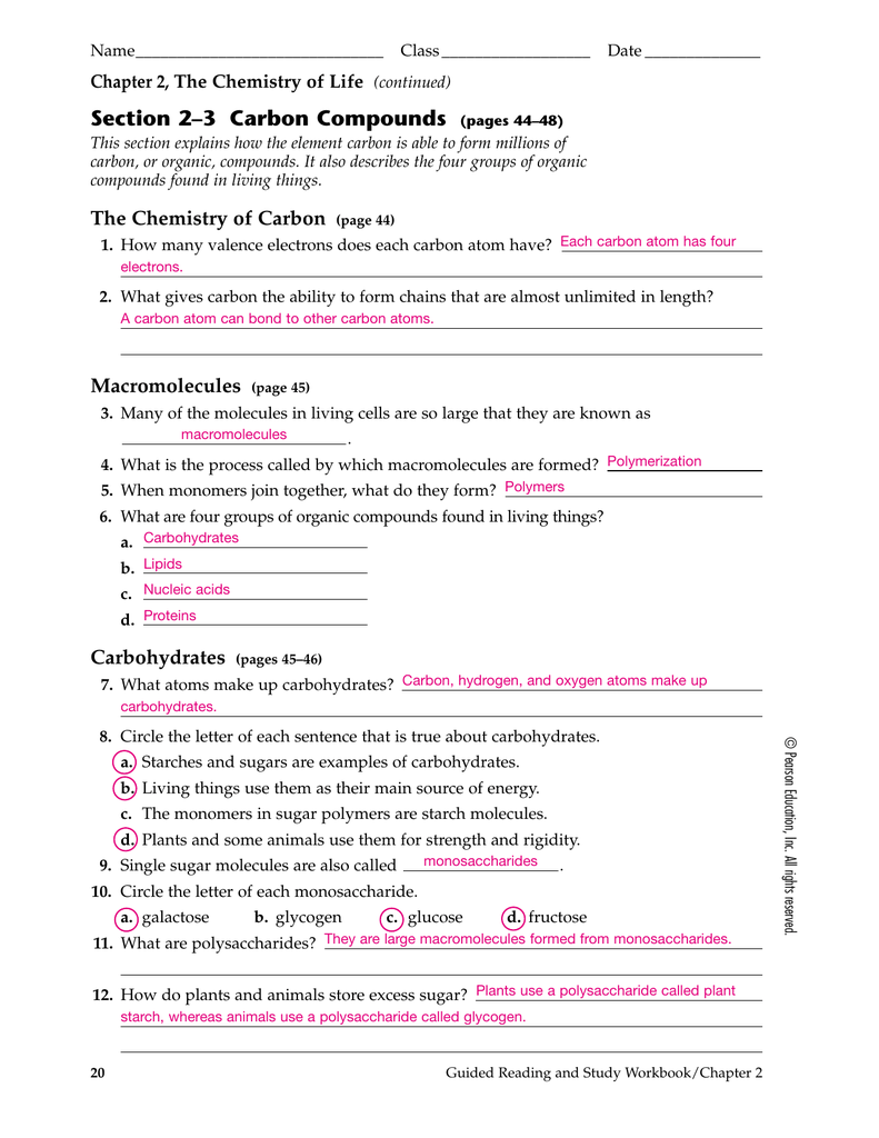 Macromolecules Worksheet 2 Answers