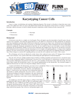 Karyotyping Cancer Cells