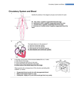 Circulatory System and Blood