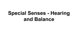 Special Senses - Hearing and Balance
