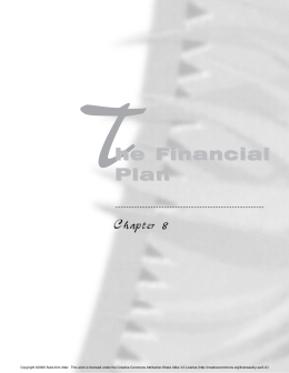 Chapter 8: The Financial Plan