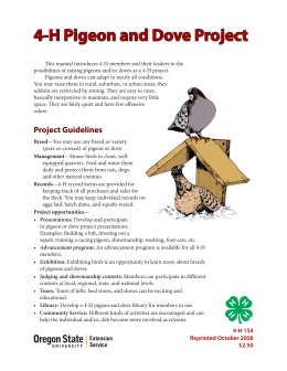 4-H Pigeon and Dove Project - Colorado 4-H