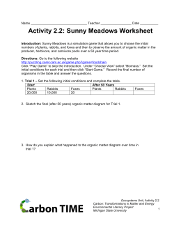 Activity 2.2: Sunny Meadows Worksheet