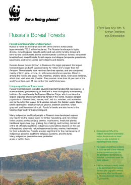 Russia`s Boreal Forests