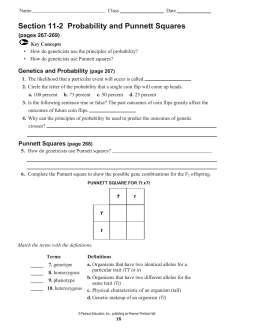 Section 11-2 Probability and Punnett Squares