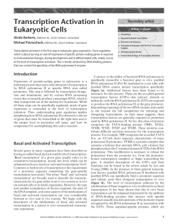 Transcription Activation in Eukaryotic Cells