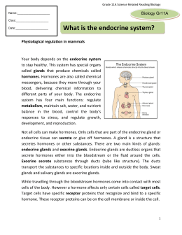 What is the endocrine system?