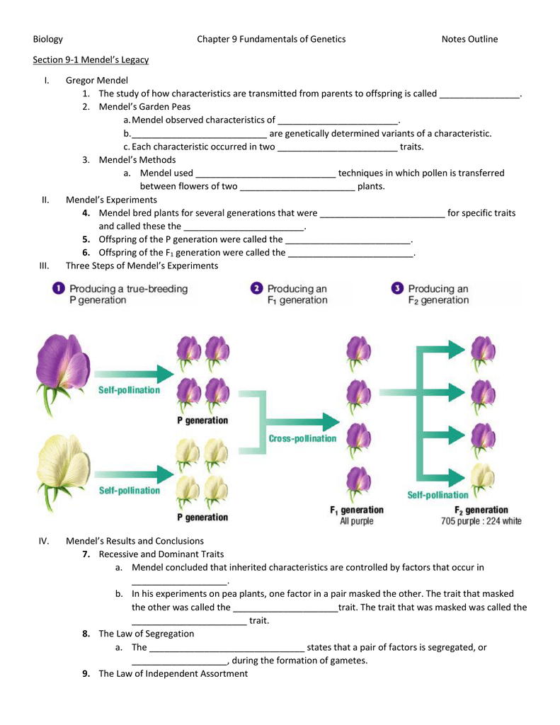 Bestseller: Chapter 9 Fundamentals Of Genetics Worksheet Answers