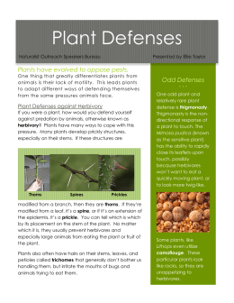 Plant Defenses