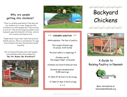 why chickens - City of Neenah