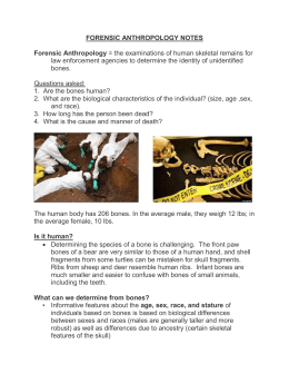 NOTES - Forensic Anthropology