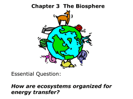 Chapter 3 The Biosphere Essential Question: How are ecosystems