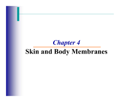 Skin and Body Membranes - PISD Instructional Site