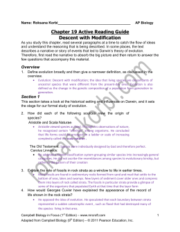 Chapter 19 Active Reading Guide Descent with Modification