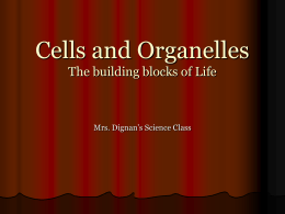 Cells and Organelles - Highline Public Schools