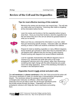 Review Of The Cell And Its Organelles