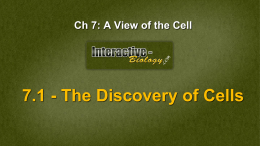 Ch 7: A View of the Cell