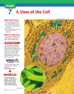 Chapter 7: A View of the Cell