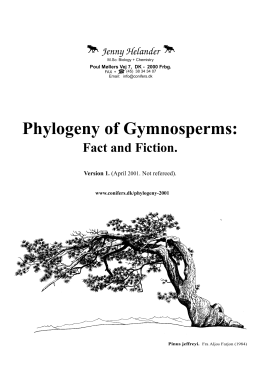 Phylogeny of Gymnosperms
