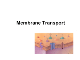 Chapter 12 - Membrane Transport .PPT