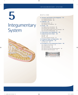 5. Integumentary System