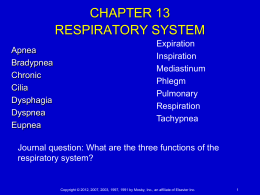 Chapter 13 RESPIRATORY SYSTEM