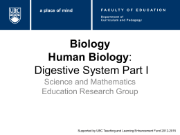 Biology Human Biology: Digestive System Part I