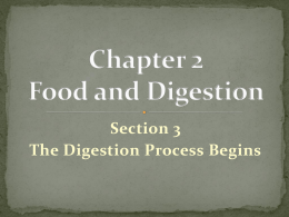 Chapter 2 Food and Digestion