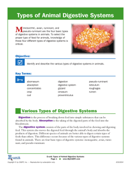 Types of Animal Digestive Systems