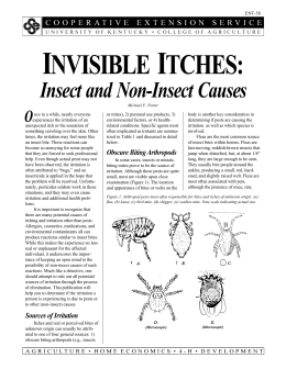 Invisible Itches: Insect and Non-Insect Causes