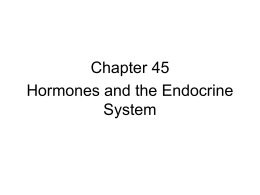 Chapter 45 Hormones and the Endocrine System