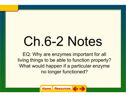 EQ: Why are enzymes important for all living things to be able to