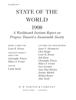 State of the World 1998: Chapter 1, The Future