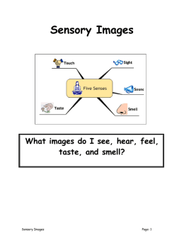 What images do I see, hear, feel, taste, and smell?