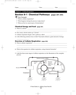 Section 9–1 Chemical Pathways (pages 221–225)