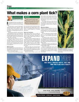 What makes a corn plant tick? - Farm Progress Issue Search Engine