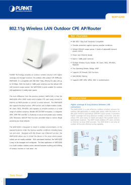802.11g Wireless LAN Outdoor CPE AP/Router