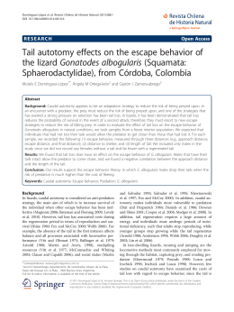 Tail autotomy effects on the escape behavior of the lizard Gonatodes