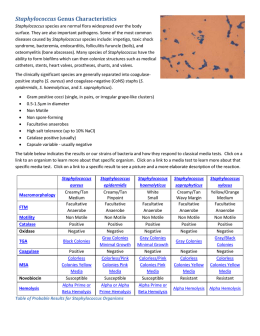 Staphylococcus Genus Characteristics