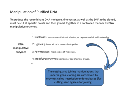 10-Principles of Genetic Engineering (continude).ppt [Compatibility