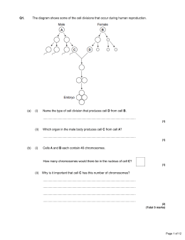 Mitosis and meiosis IGCSE questions