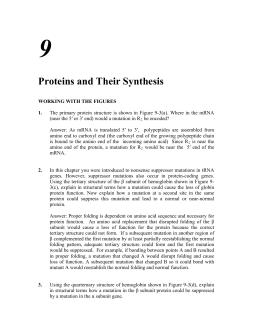 Proteins and Their Synthesis