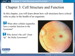 Chapter 3: Cell Structure and Function