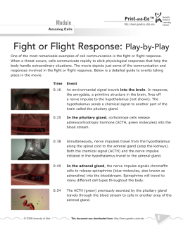 Fight or Flight Response: Play-by-Play - Genetics