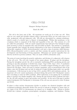 cell cycle - user web page