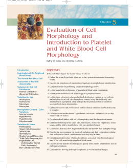 Evaluation of Cell Morphology and Introduction to Platelet and White
