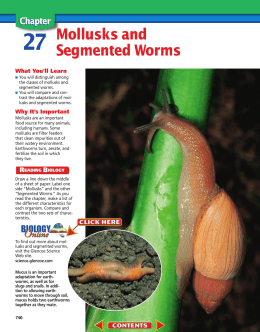 Chapter 27: Mollusks and Segmented Worms